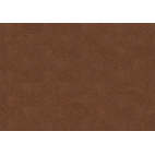 Parquet Amorim Wise CORK Essence 905x295x10.5mm