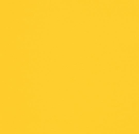 Yellow uni