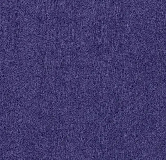 t382024 Penang purple