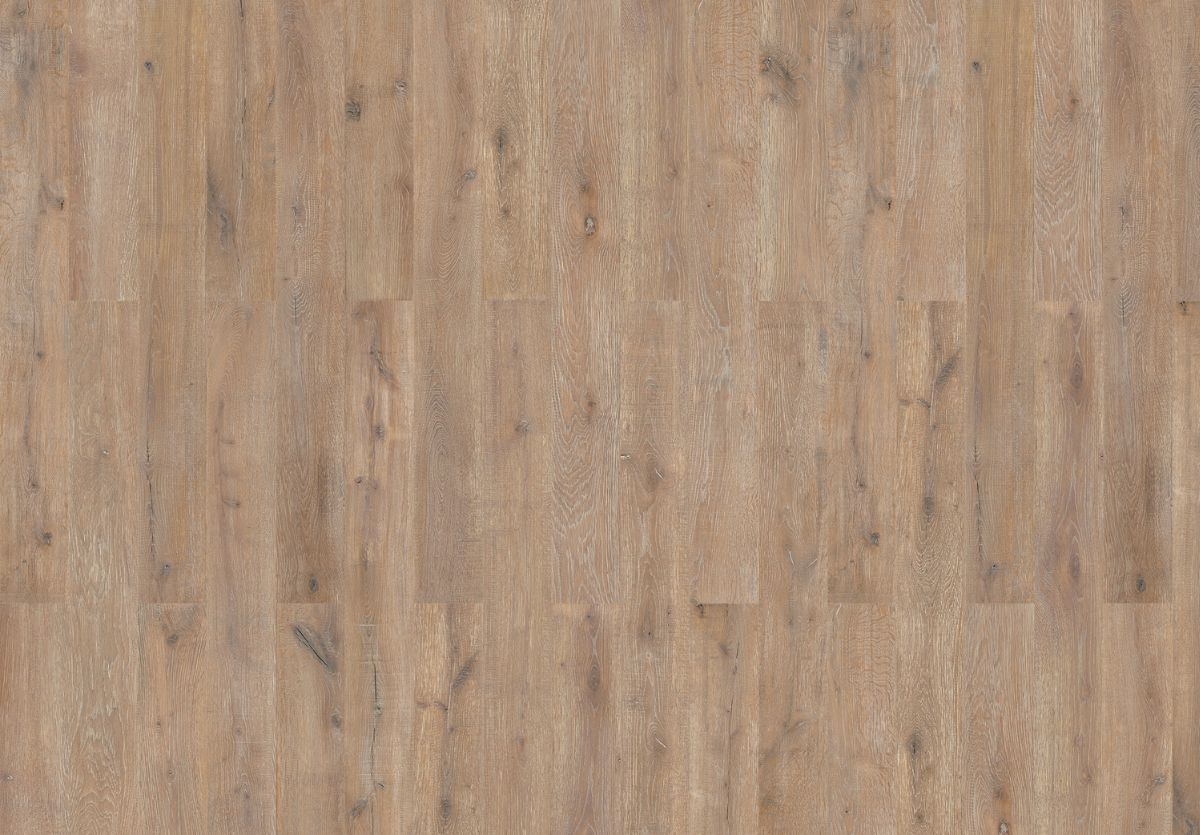 Farnia Oak Savannah