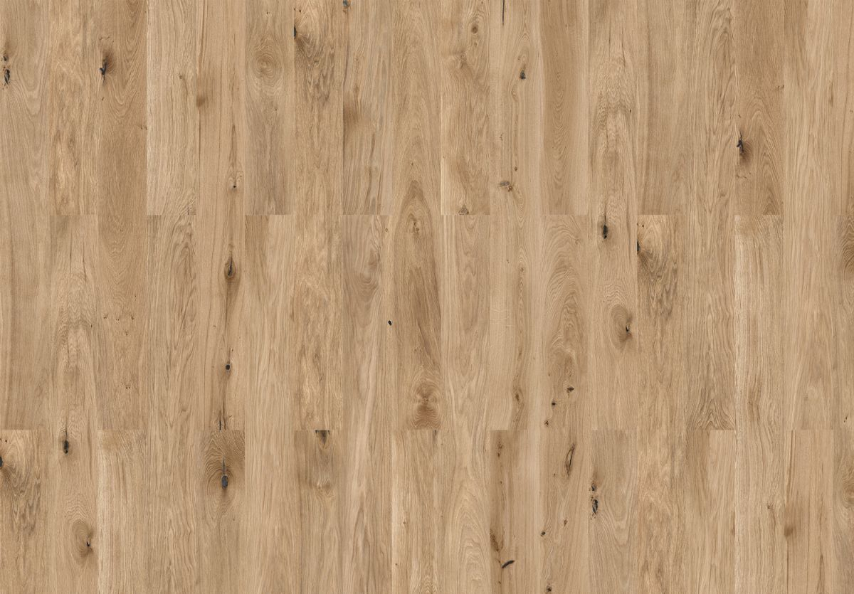 Panama Oak Honey