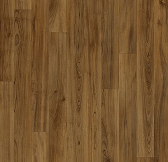 cedar