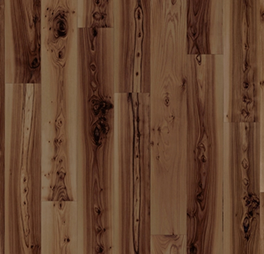Dark elm