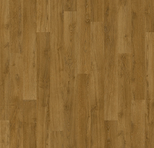 English oak