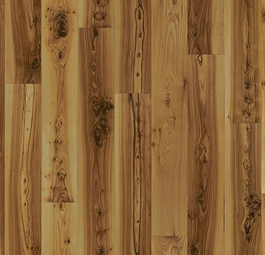 light elm