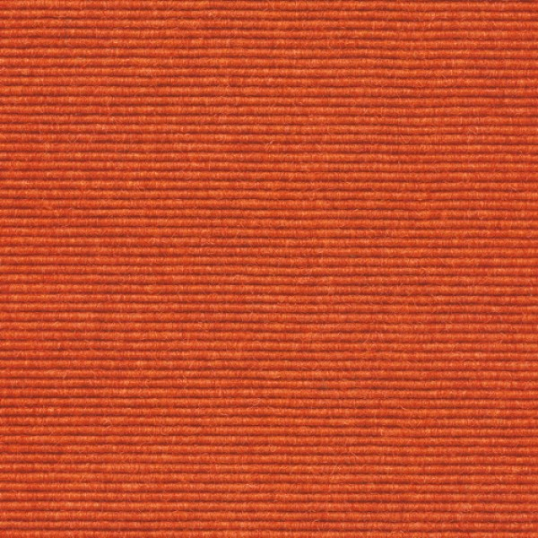 585 Orange